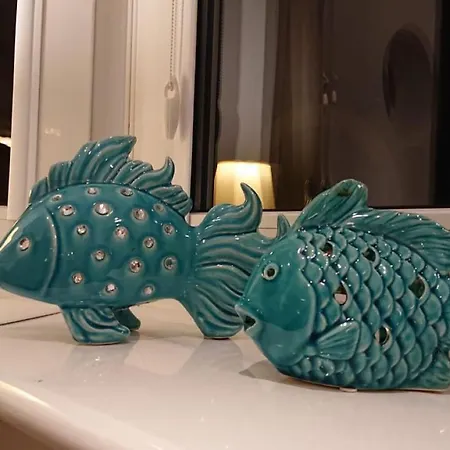 Porto Z Rowerami Gratis *