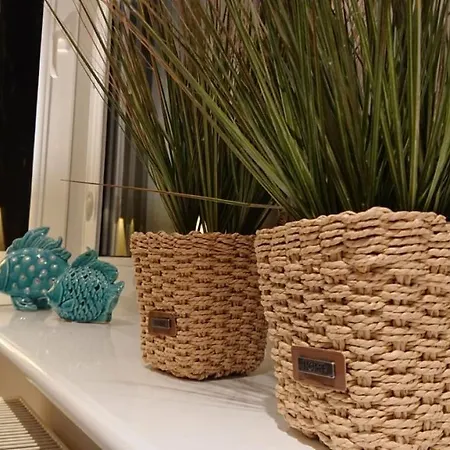 Daire Porto Z Rowerami Gratis *