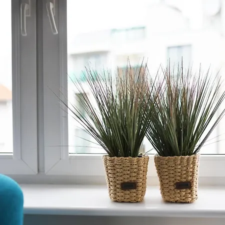 Porto Z Rowerami Gratis Daire *