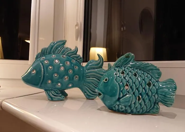 Porto Z Rowerami Gratis *